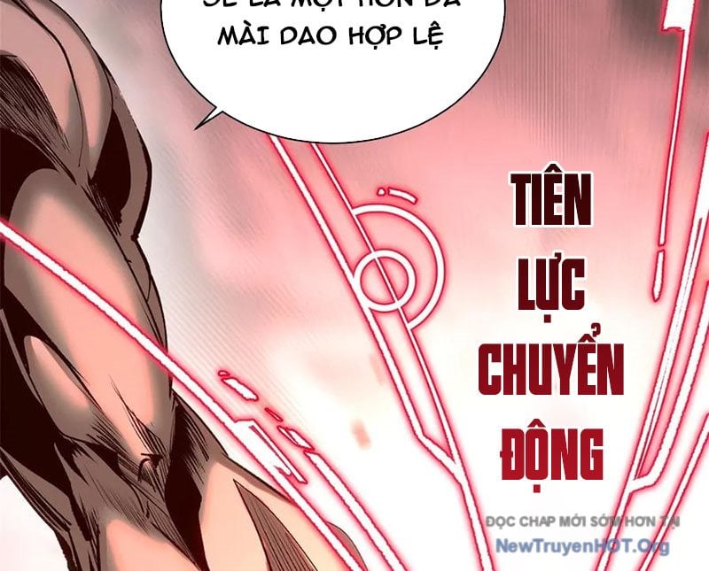 Đỉnh Cấp Khí Vận, Lặng Lẽ Tu Luyện Ngàn Năm Chap 263 - Next Chap 264