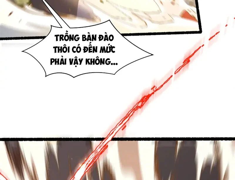 Đỉnh Cấp Khí Vận, Lặng Lẽ Tu Luyện Ngàn Năm Chap 286 - Next Chap 287