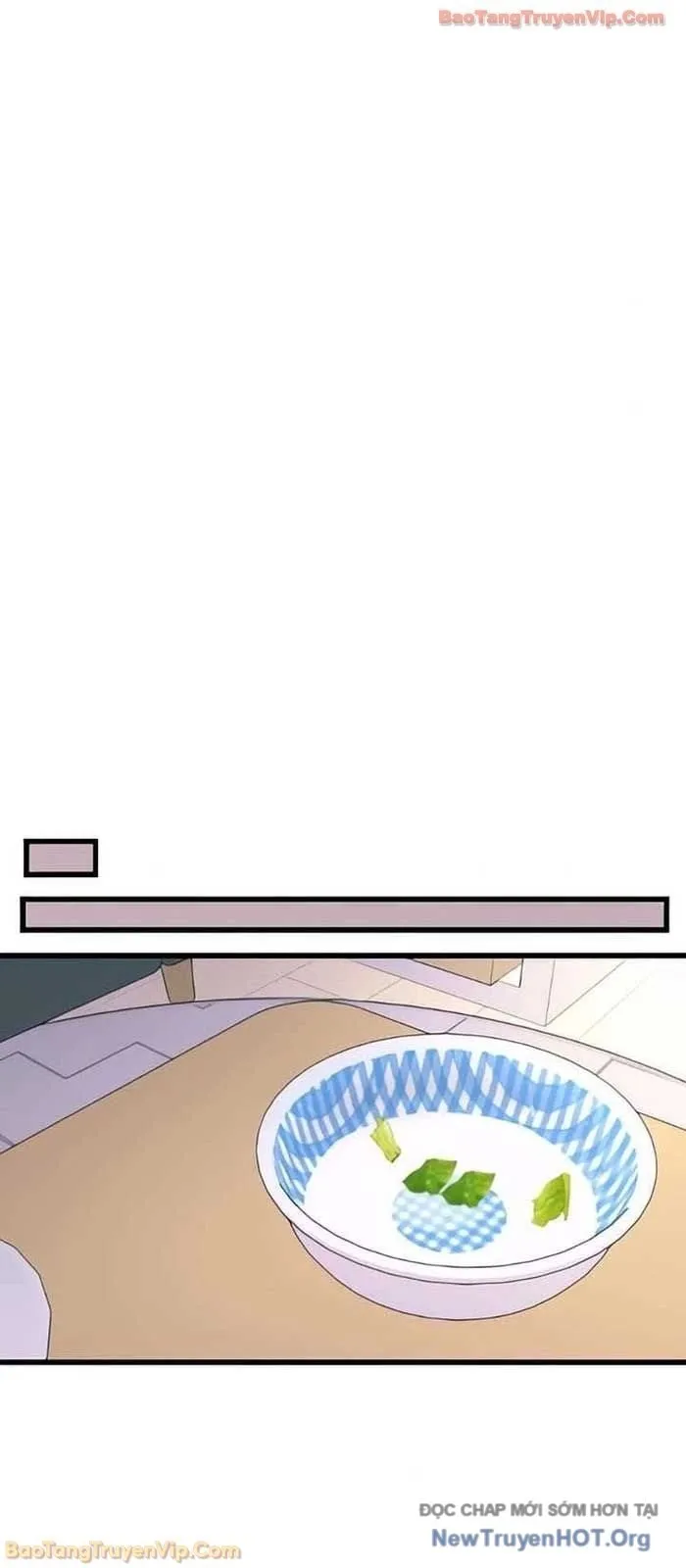 Định Mệnh Đôi Ta Giao Thoa Nơi Bến Tàu Chap 51 - Next Chap 52