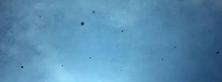 Độc Chiến Đế Vương Chap 28 - Next Chap 29