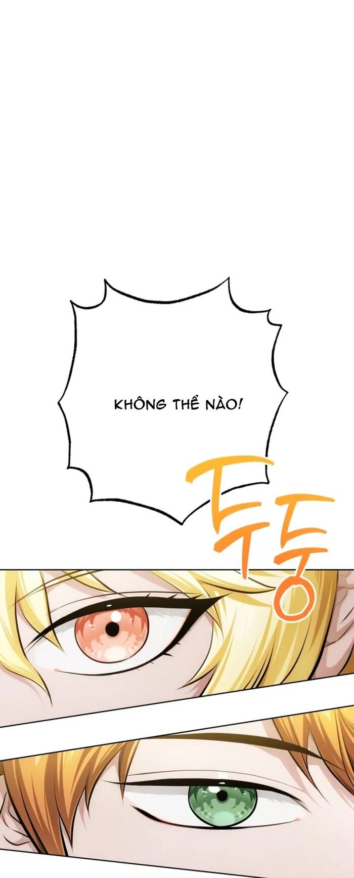 Đứa Trẻ Dị Biệt Của Tháp Phép Thuật Chap 41 - Next Chap 42