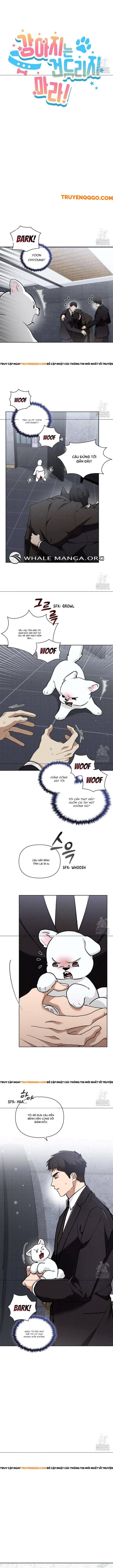 Đừng Đùa Với Cún Con Chap 40 - Next Chap 41