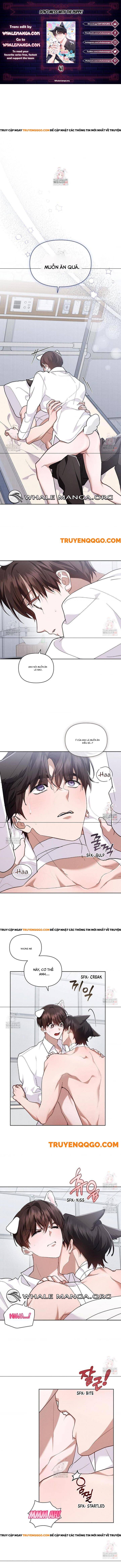 Đừng Đùa Với Cún Con Chap 41 - Next Chap 42