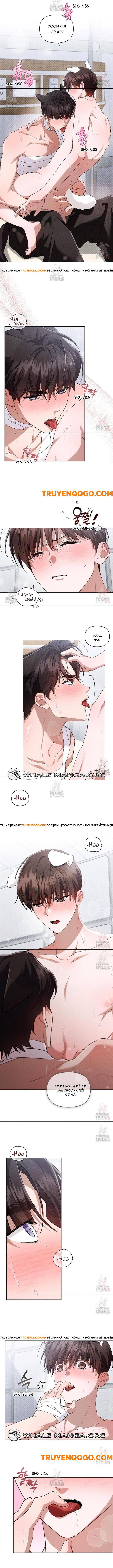 Đừng Đùa Với Cún Con Chap 41 - Next Chap 42