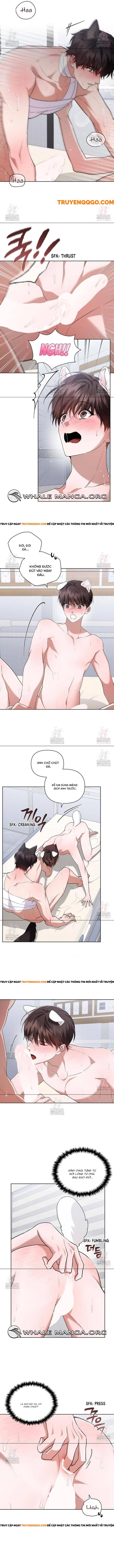 Đừng Đùa Với Cún Con Chap 41 - Next Chap 42