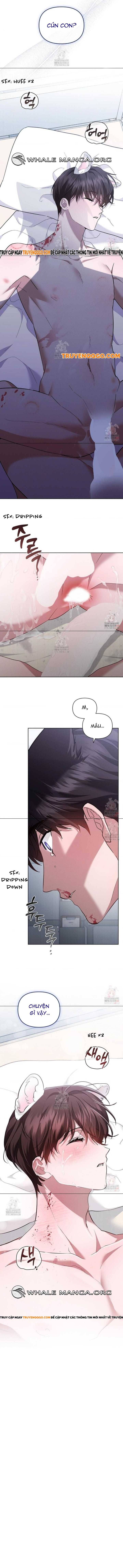 Đừng Đùa Với Cún Con Chap 42 - Next Chap 43