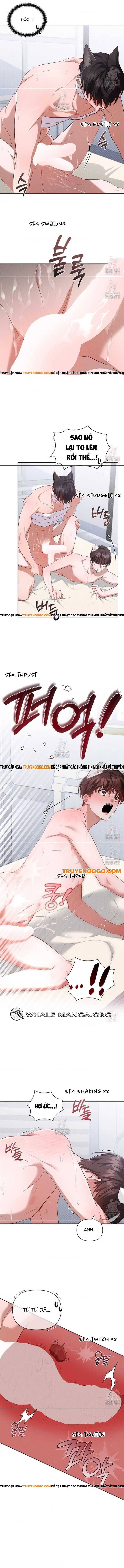 Đừng Đùa Với Cún Con Chap 42 - Next Chap 43