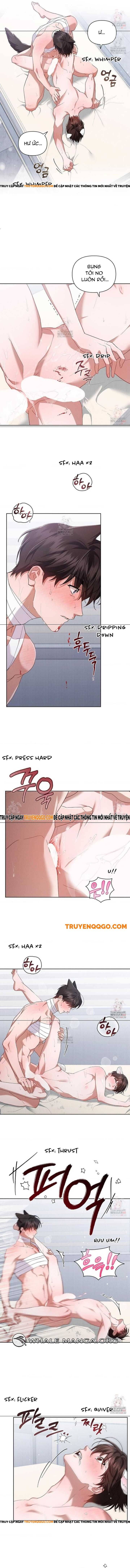 Đừng Đùa Với Cún Con Chap 42 - Next Chap 43