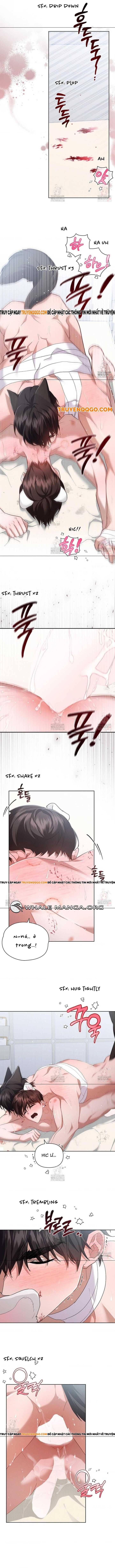 Đừng Đùa Với Cún Con Chap 42 - Next Chap 43