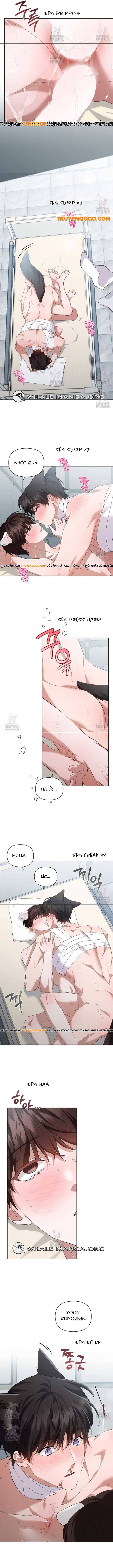 Đừng Đùa Với Cún Con Chap 42 - Next Chap 43