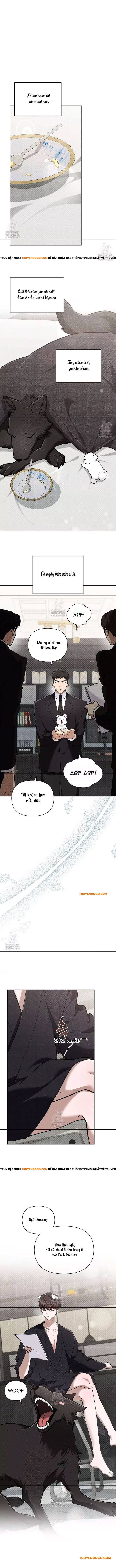 Đừng Đùa Với Cún Con Chap 45 - Next Chap 46