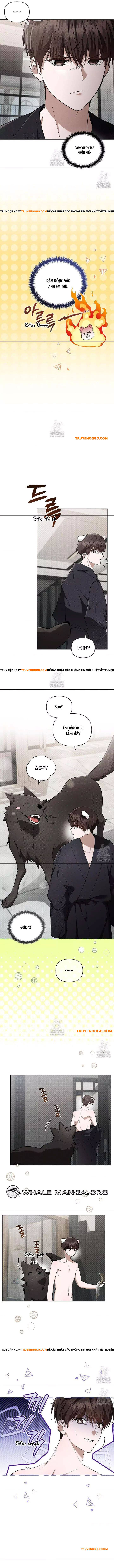 Đừng Đùa Với Cún Con Chap 45 - Next Chap 46