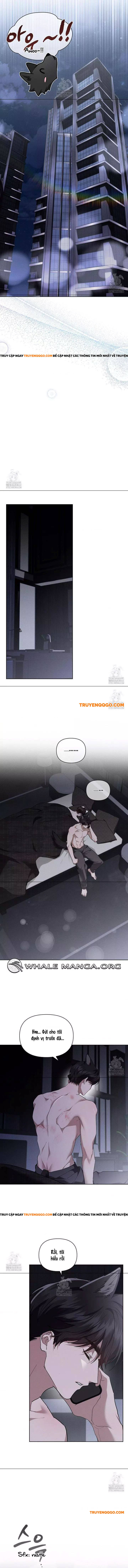 Đừng Đùa Với Cún Con Chap 45 - Next Chap 46