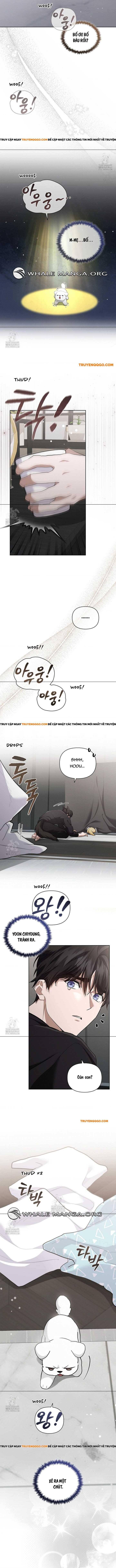 Đừng Đùa Với Cún Con Chap 46 - Next Chap 47