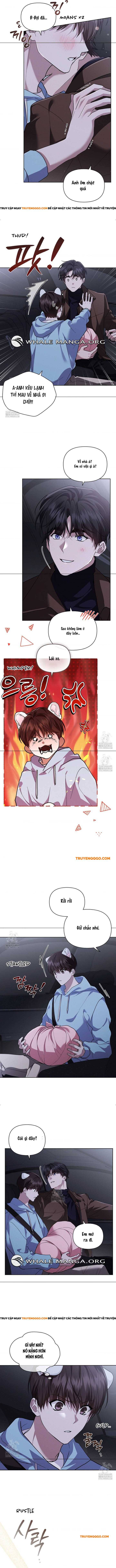 Đừng Đùa Với Cún Con Chap 46 - Next Chap 47