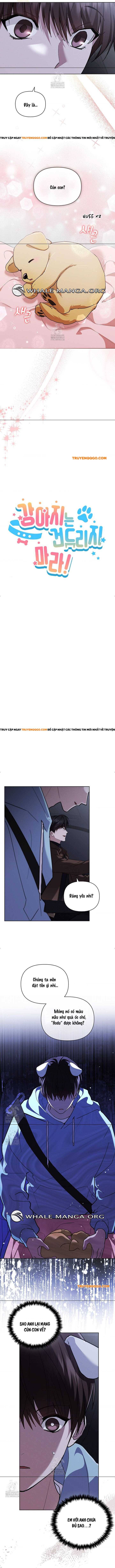 Đừng Đùa Với Cún Con Chap 46 - Next Chap 47