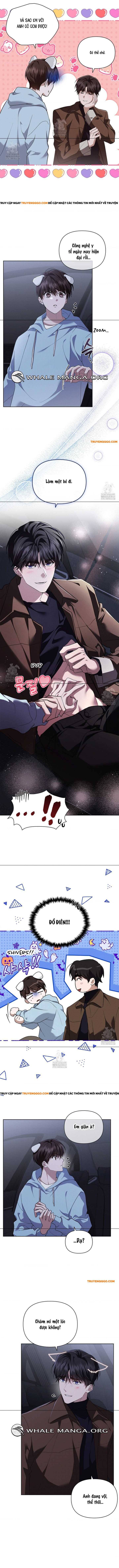 Đừng Đùa Với Cún Con Chap 46 - Next Chap 47