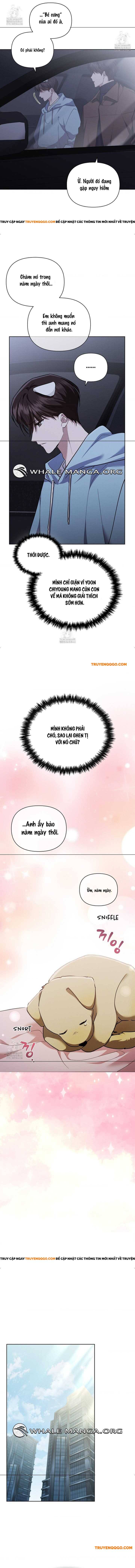 Đừng Đùa Với Cún Con Chap 46 - Next Chap 47
