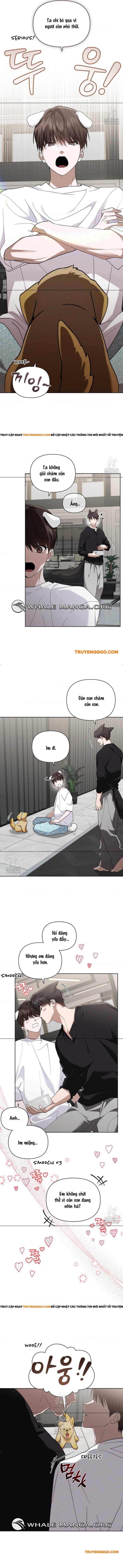 Đừng Đùa Với Cún Con Chap 46 - Next Chap 47
