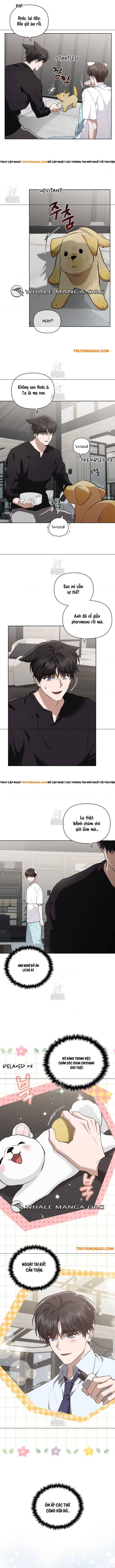 Đừng Đùa Với Cún Con Chap 46 - Next Chap 47