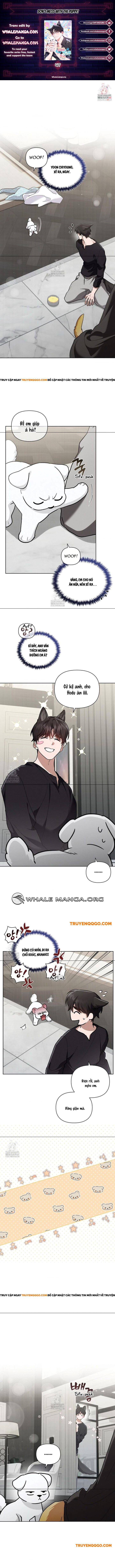 Đừng Đùa Với Cún Con Chap 47 - Next Chap 48