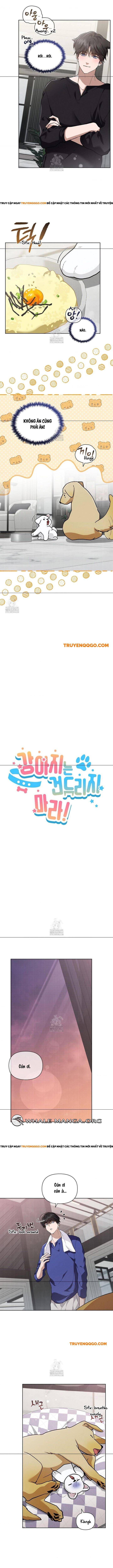 Đừng Đùa Với Cún Con Chap 47 - Next Chap 48