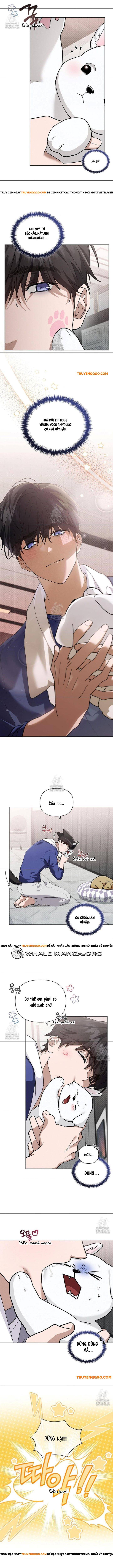 Đừng Đùa Với Cún Con Chap 47 - Next Chap 48
