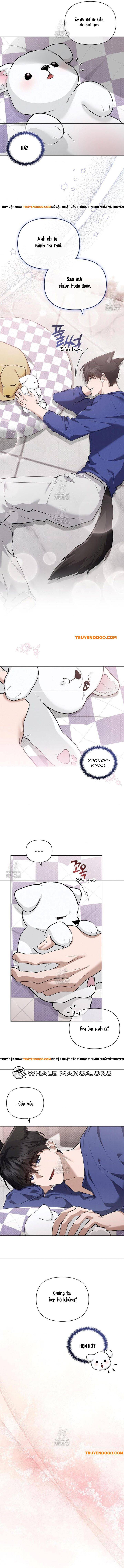 Đừng Đùa Với Cún Con Chap 47 - Next Chap 48