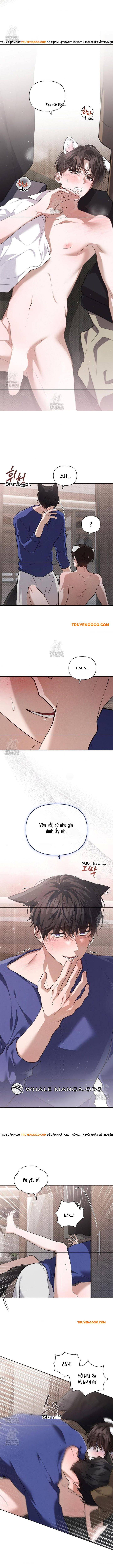 Đừng Đùa Với Cún Con Chap 47 - Next Chap 48