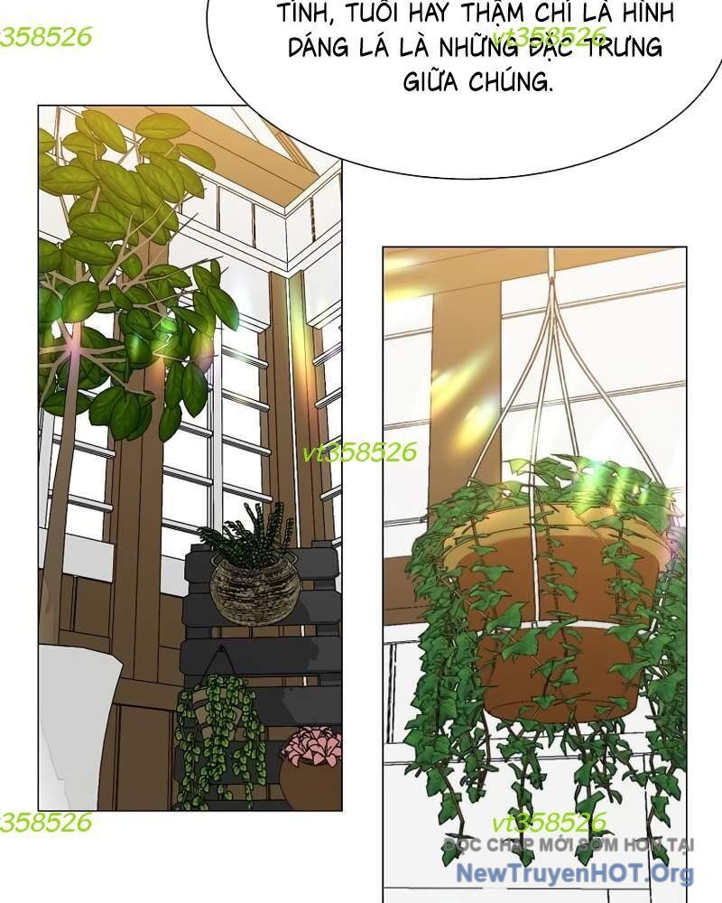 Estio Chap 62 - Next Chap 63