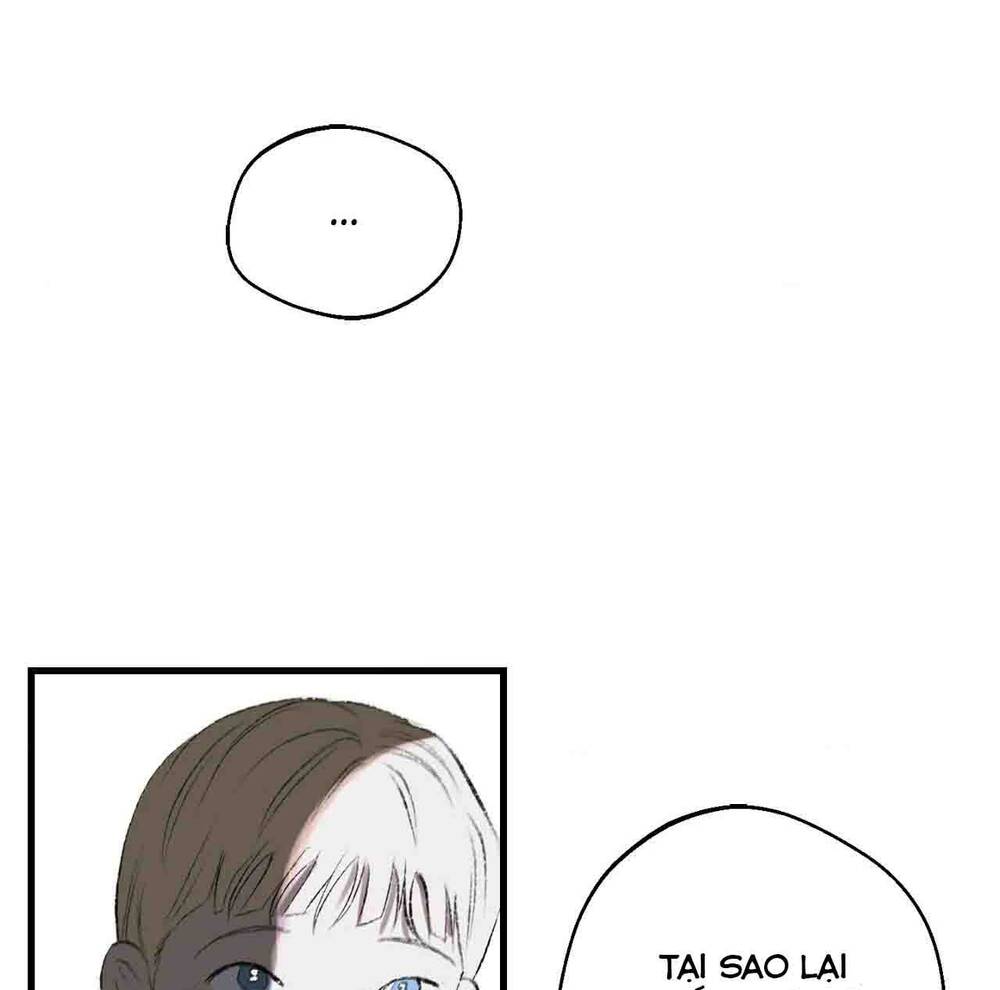 Gửi Lời Chúc Phúc Của Melt Tới Người Chap 40 - Next Chap 41