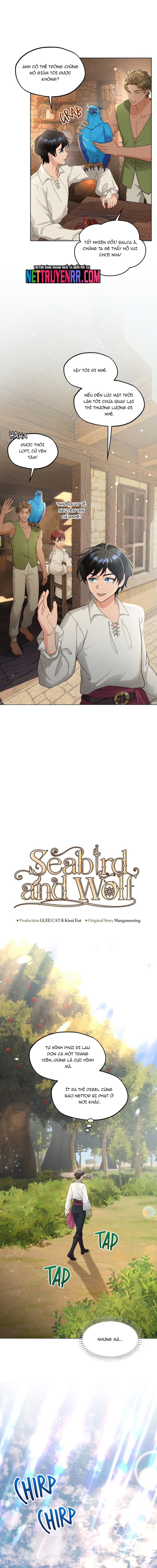 Hải Âu & Sói Hoang Chap 37 - Next Chap 38