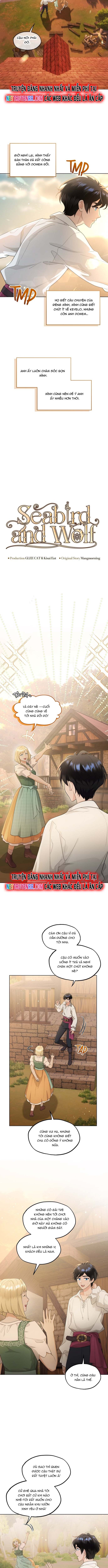 Hải Âu & Sói Hoang Chap 38 - Next Chap 39