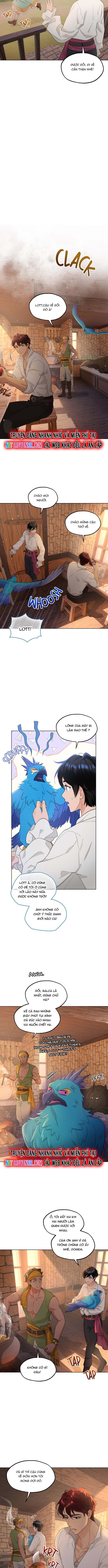 Hải Âu & Sói Hoang Chap 38 - Next Chap 39