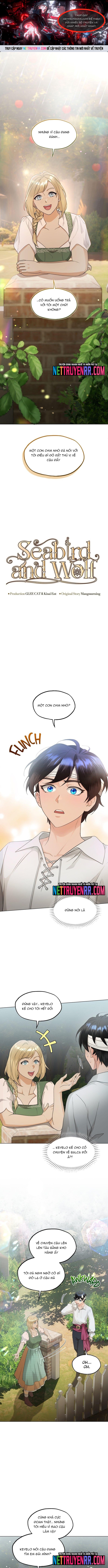 Hải Âu & Sói Hoang Chap 40 - Next Chap 41