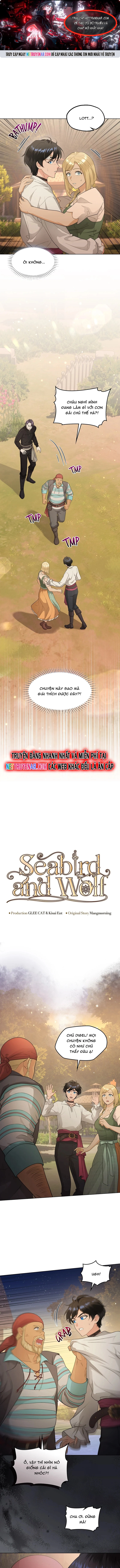 Hải Âu & Sói Hoang Chap 44 - Next Chap 45