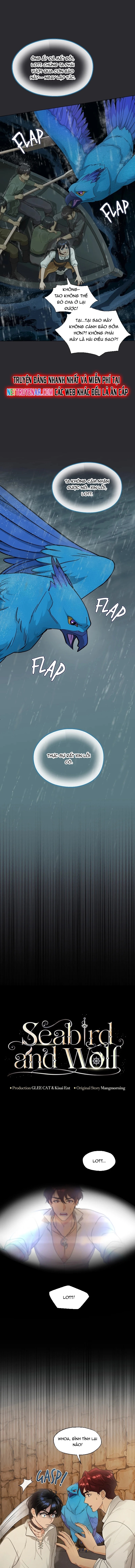 Hải Âu & Sói Hoang Chap 45 - Next Chap 46