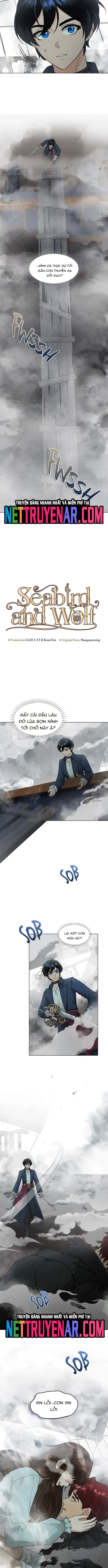 Hải Âu & Sói Hoang Chap 47 - Next Chap 48