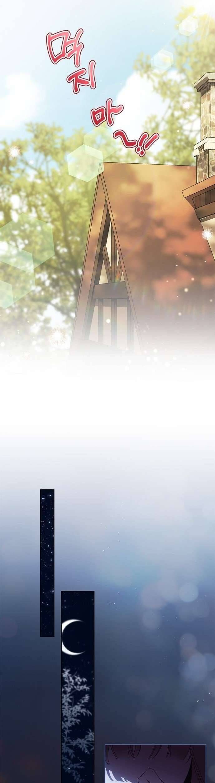 Hầu Nữ Bí Mật Của Bá Tước Chap 50 - Next Chap 51