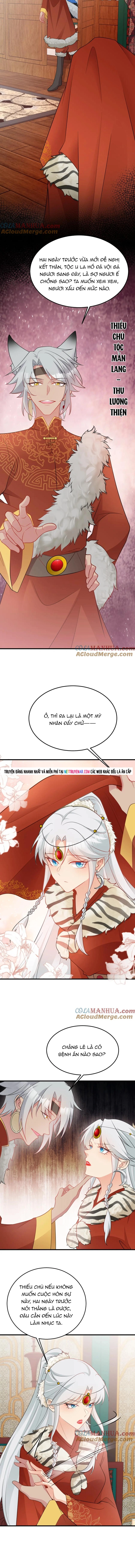 Hệ Thống Siêu Cấp Trà Xanh Chap 56 - Next Chap 57