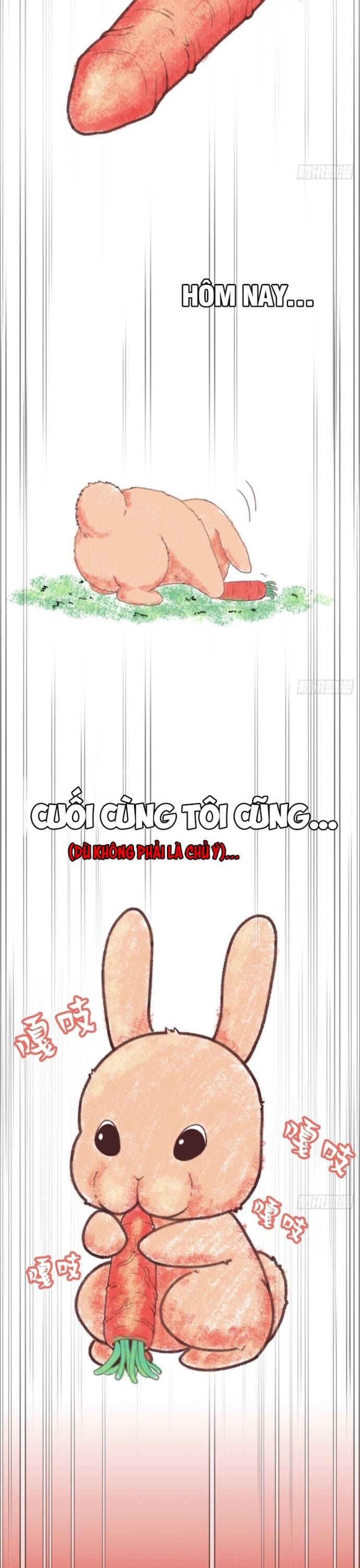 Hệ Thống Tận Thế Của Tôi Sụp Đổ Rồi Chap 7 - Next Chap 8