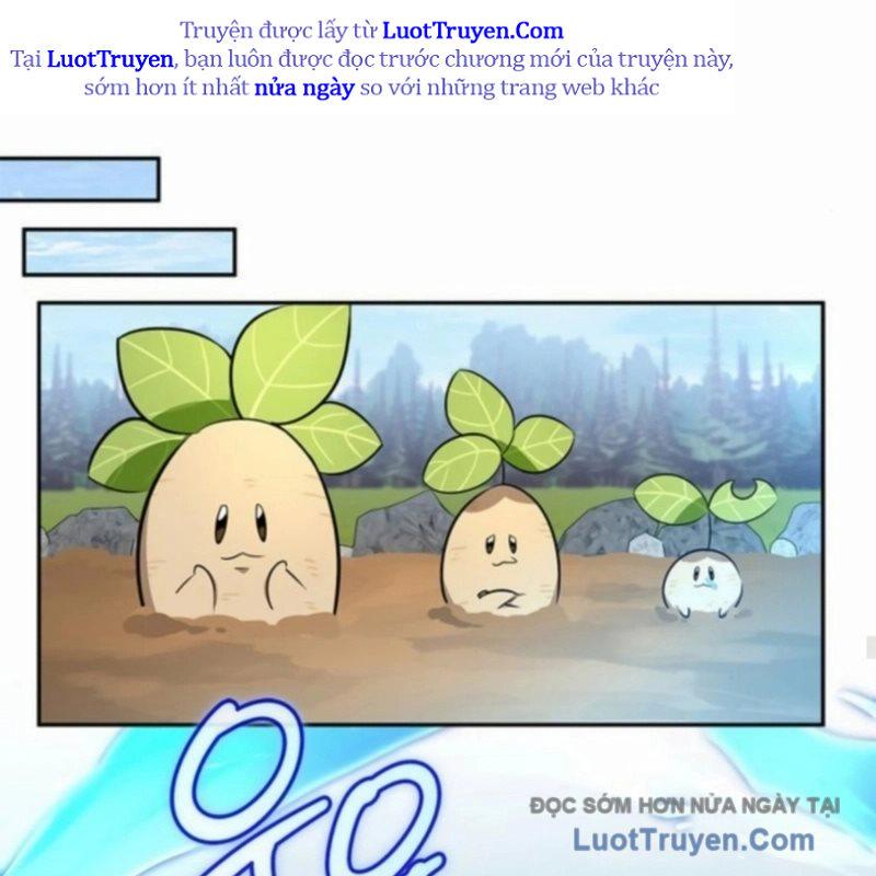 Healer Cấp S Chữa Trị Cho Quái Vật Chap 18 - Next Chap 19
