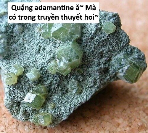 Hổ Đến Chơi Nhà Chap 141 - Next Chap 142