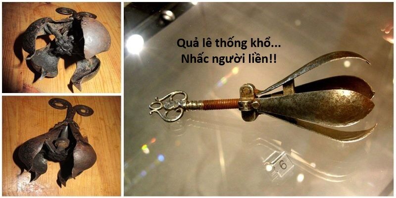 Hổ Đến Chơi Nhà (Puchimasu Miếu) Chap 127 - Next Chap 128