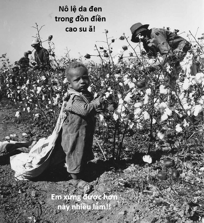 Hổ Đến Chơi Nhà (Puchimasu Miếu) Chap 127 - Next Chap 128