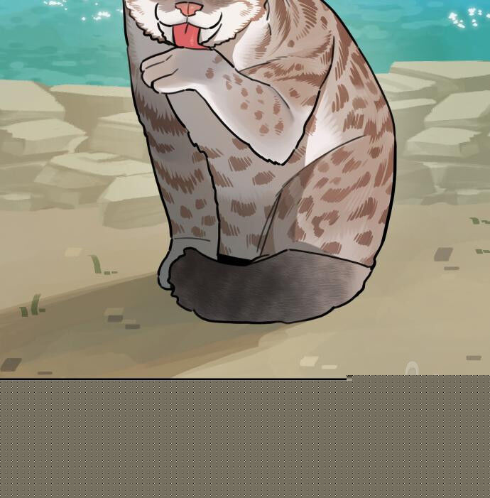 Hổ Đến Chơi Nhà (Puchimasu Miếu) Chap 131 - Next Chap 132