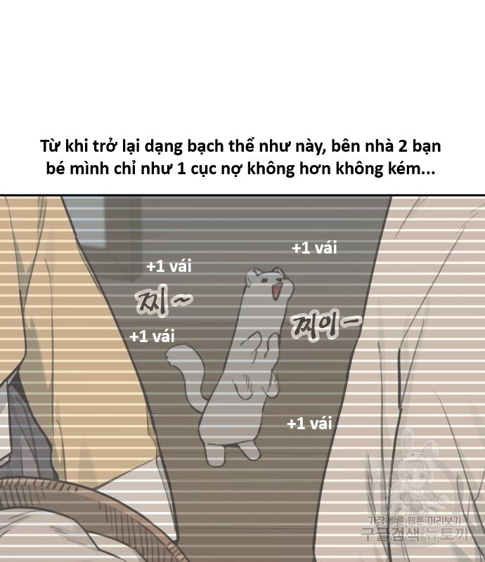 Hổ Đến Chơi Nhà (Puchimasu Miếu) Chap 131 - Next Chap 132