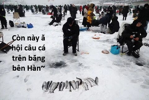 Hổ Đến Chơi Nhà (Puchimasu Miếu) Chap 135 - Next Chap 136