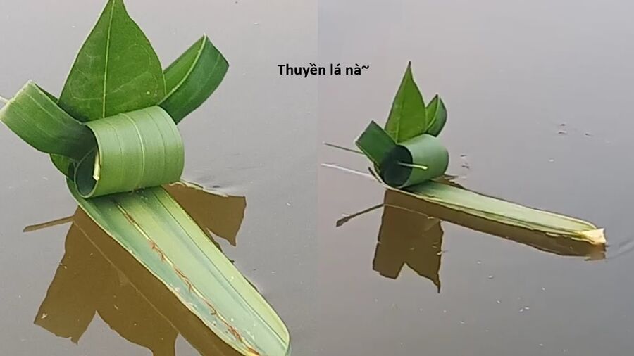 Hổ Đến Chơi Nhà (Puchimasu Miếu) Chap 135 - Next Chap 136