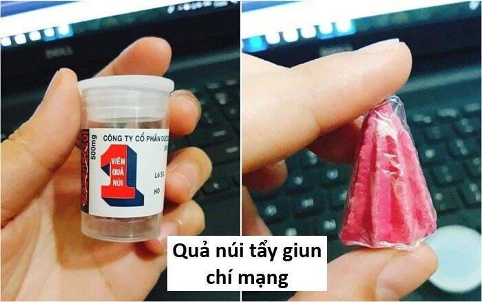 Hổ Đến Chơi Nhà (Puchimasu Miếu) Chap 136 - Next Chap 137